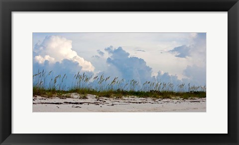 Framed Reed Grass on Beach, Great Exuma Island, Bahamas Print