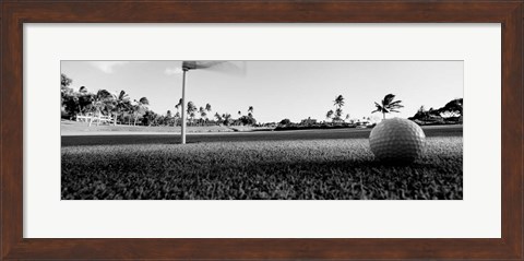 Framed Close Up Golf Ball And Hole, Hawaii Print