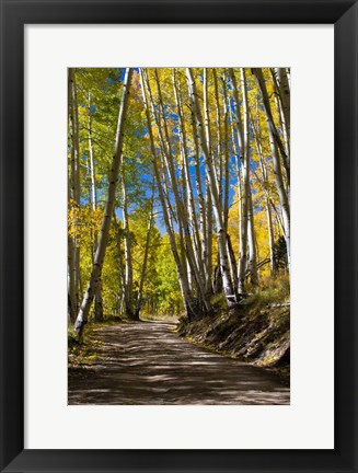 Framed Road Passing through a Forest, Maroon Creek Valley, Aspen, Colorado Print