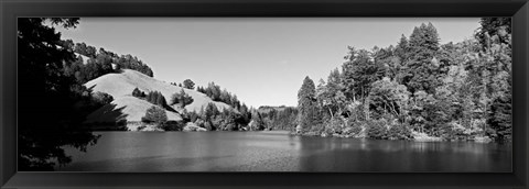 Framed Lake Lagunitas, California (BW) Print