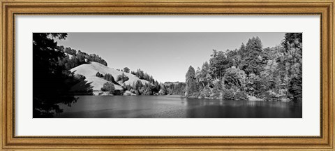 Framed Lake Lagunitas, California (BW) Print
