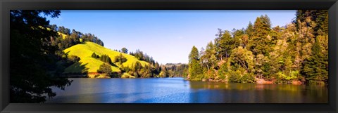 Framed Trees at Lakeshore, Lake Lagunitas, California Print