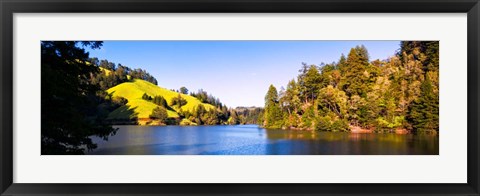 Framed Trees at Lakeshore, Lake Lagunitas, California Print