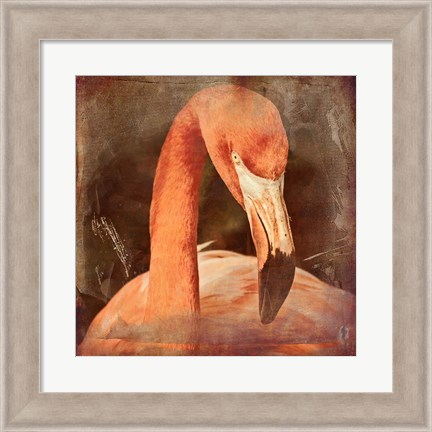 Framed Flamingo Masquerade Print