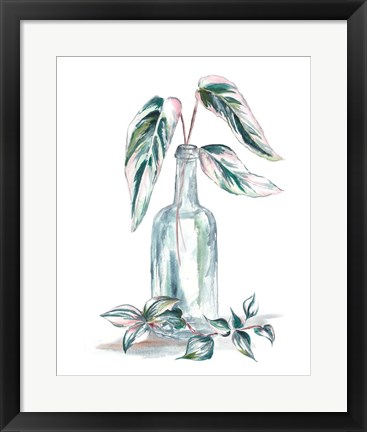 Framed Island Tropics Frond in Bottle III Print