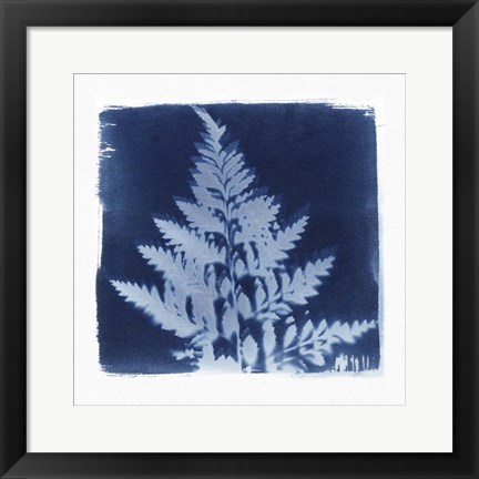 Framed Flora Cyanotype II Print