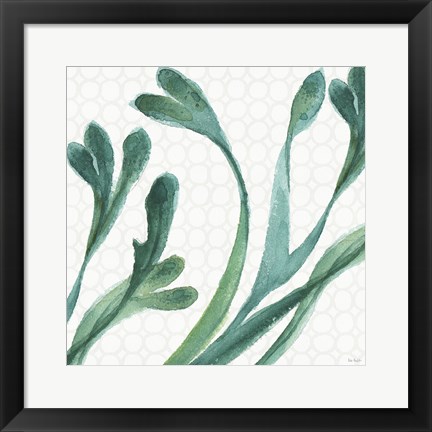 Framed Mixed Greens XXIV Print