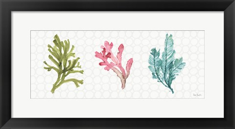 Framed Mixed Greens XXXII Print