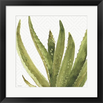 Framed Mixed Greens XXXVIII Print