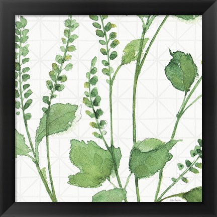 Framed Mixed Greens LIV Print