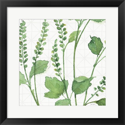 Framed Mixed Greens LIV Print