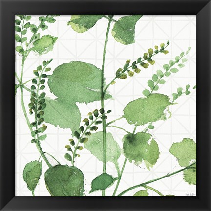 Framed Mixed Greens LIII Print