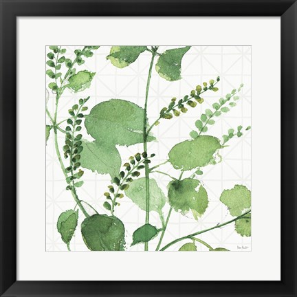 Framed Mixed Greens LIII Print