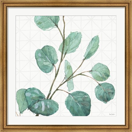 Framed Mixed Greens LI Print