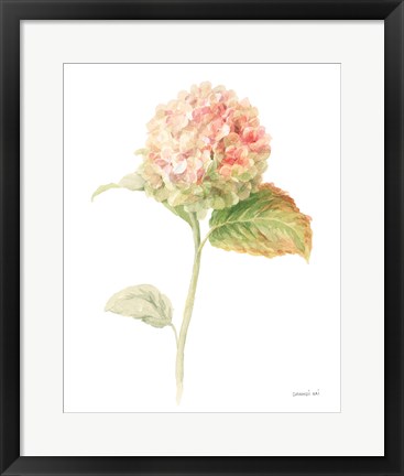 Framed Floursack Florals on White V Print