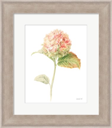 Framed Floursack Florals on White V Print