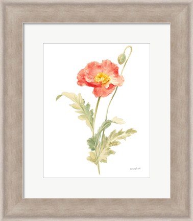 Framed Floursack Florals on White IV Print