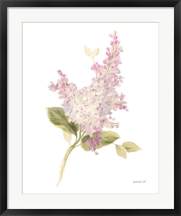 Framed Floursack Florals on White VI Print