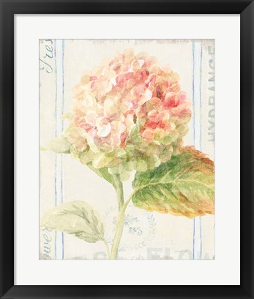 Framed Floursack Florals VI Print