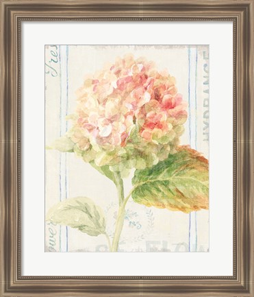 Framed Floursack Florals VI Print