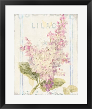 Framed Floursack Florals V Print