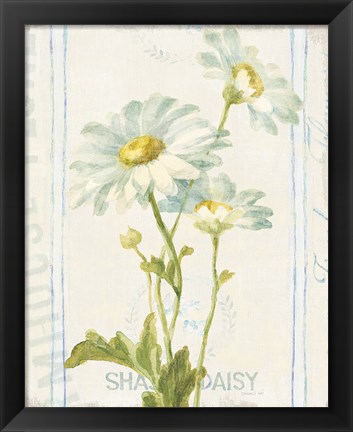 Framed Floursack Florals III Print