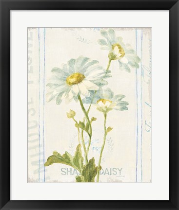 Framed Floursack Florals III Print