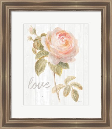 Framed Garden Rose on Wood Love Print