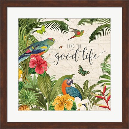 Framed Parrot Paradise IV Print