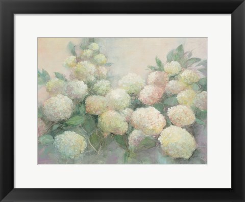 Framed Annabelle Hydrangeas Print