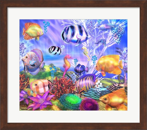 Framed Ocean&#39;s Little Wonders Print