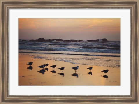 Framed Kalaloch Birds IV Print