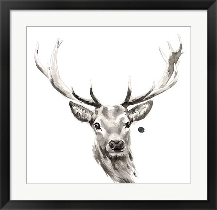 Framed Elk Print