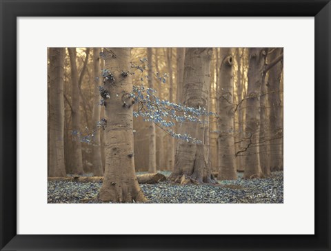 Framed Winter Blues Print