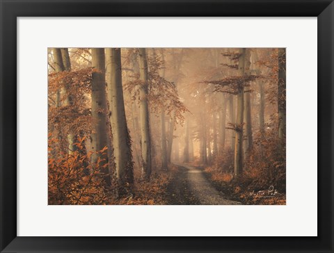 Framed Brown Beauty Print