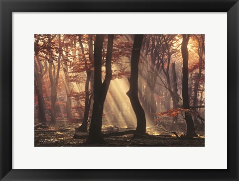 Framed It&#39;s Raining Sunrays Print