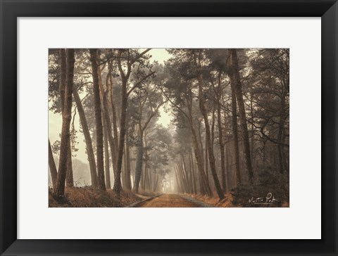 Framed Path of Pines Print