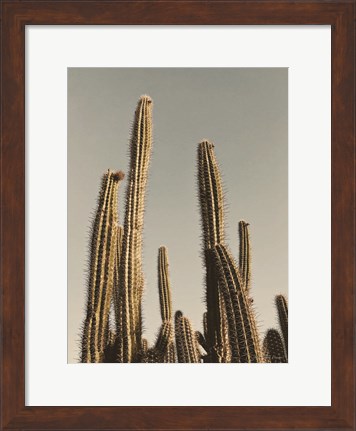 Framed Desert Cacti Print