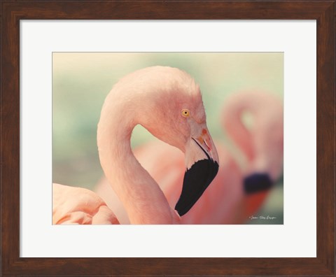 Framed Pink Flamingo Print