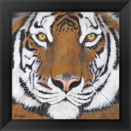 Framed Tiger Gaze Print