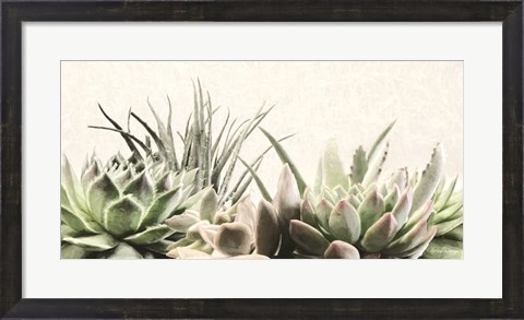 Framed Soft Succulents II Print