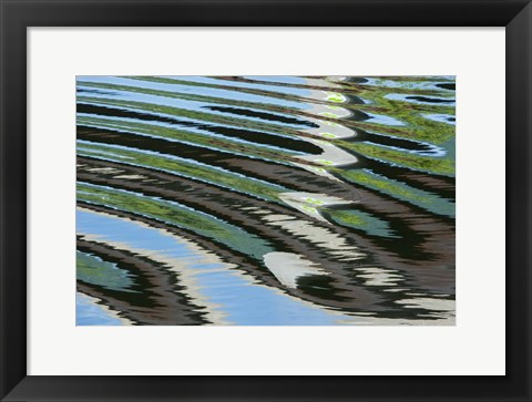 Framed Green Trees Reflected in River with Ripples on the Water Print