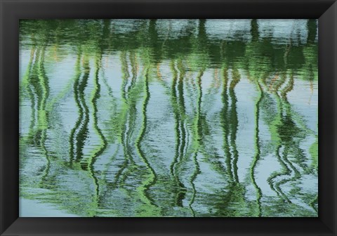 Framed Green Bridge Reflection in Water Print