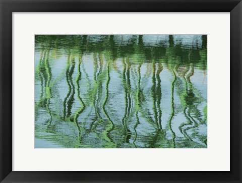 Framed Green Bridge Reflection in Water Print