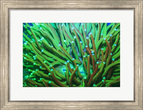 Framed Day Fluorescing Print