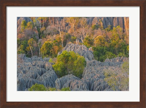 Framed Limestone Formations, Tsingy de Bemaraha Strict Nature Reserve, Madagascar Print