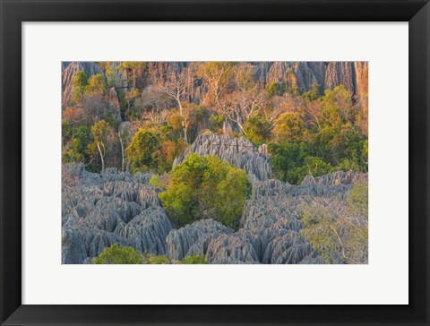 Framed Limestone Formations, Tsingy de Bemaraha Strict Nature Reserve, Madagascar Print