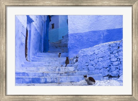 Framed Cats in an Alley, Chefchaouen, Morocco Print