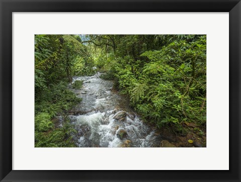 Framed Bwindi Impenetrable Fores,t Uganda Print