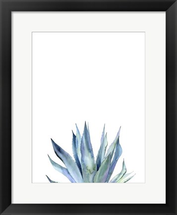 Framed Agave II Print